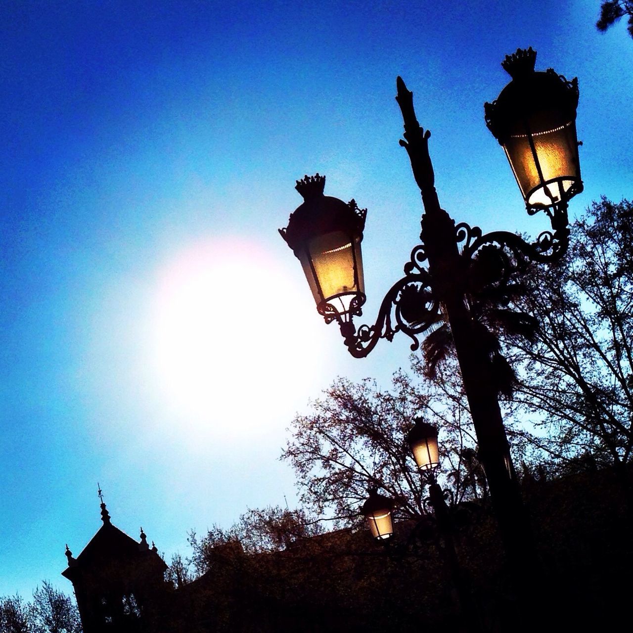 low angle view, lighting equipment, street light, lantern, illuminated, clear sky, silhouette, tree, built structure, electric lamp, blue, lamp post, building exterior, electric light, architecture, sky, high section, hanging, lamp, dusk