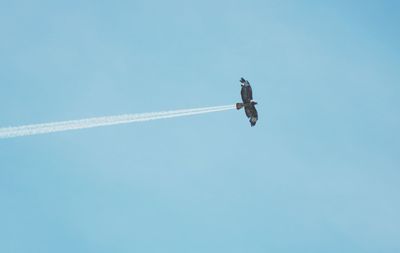 Low angle view of airplane flying against clear blue sky