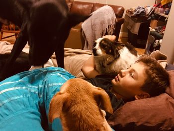 High angle view of boy with dogs lying on bed at home