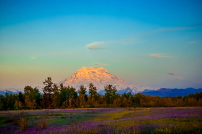 Scenic view of landscape against sky during sunset