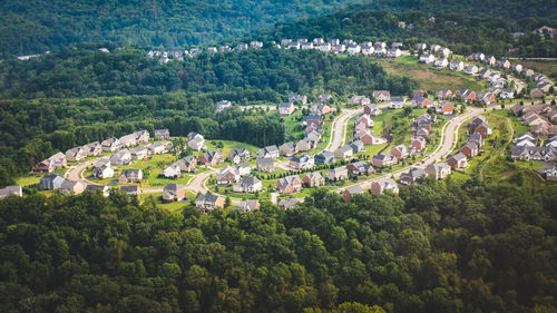 High angle view of trees and houses in forest