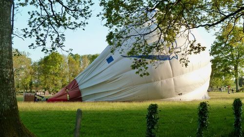 View of tent in park against sky