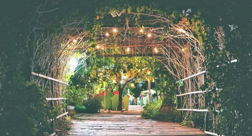 Illuminated footpath in park at night