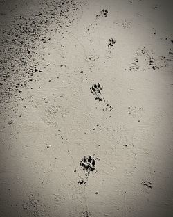 footprint