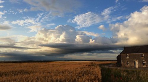 Scenic view of field against cloudy sky