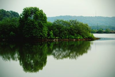 Reflection of trees in lake against sky