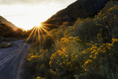 Scenic view of road by mountains against sky during sunset