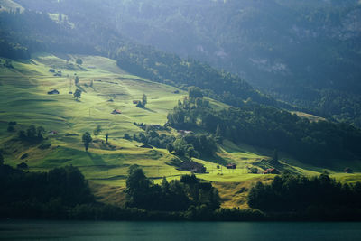 Scenic view of landscape