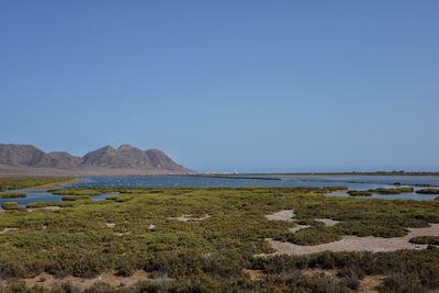 Scenic view of calm sea against clear sky