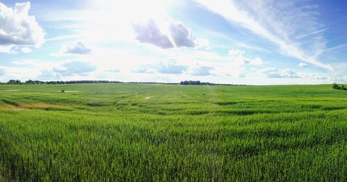 Scenic view of field against sky