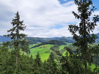 Scenic view of landscape against sky