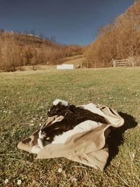 Scenic view of field against clear sky