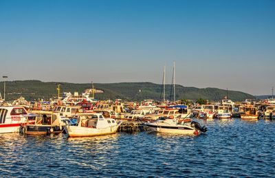 Sailboats moored at harbor against clear sky