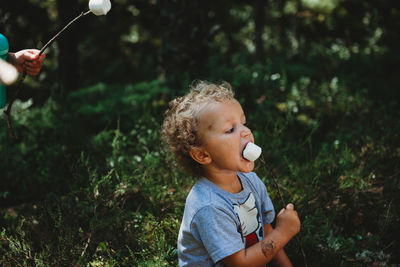 Cute little boy eating marshmallows in stick getting messy at forest