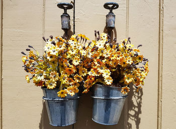 Close-up of flowers hanging on plant