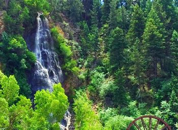 Waterfall in forest