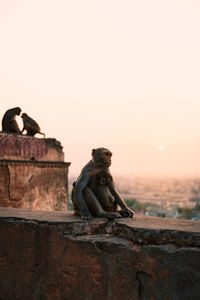 Monkey statue against sky at sunset