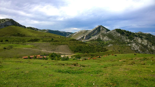 Scenic view of field and mountains against sky