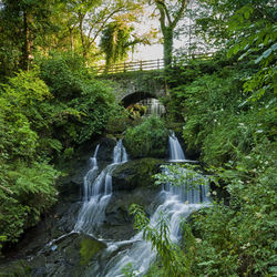 Scenic view of waterfall