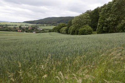 Hiking in the weserbergland with wonderful views over the weser valley. here direction of segelhorst