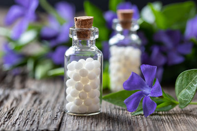 Close-up of purple flower on table