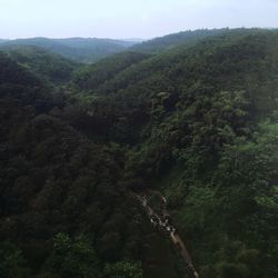 High angle view of forest against sky