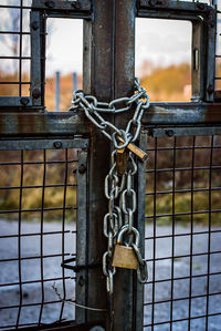 Close-up of padlock on metal gate