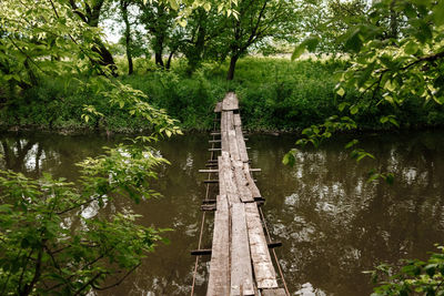 Bridge over lake in forest