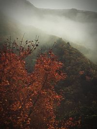 Scenic view of tree mountains against sky