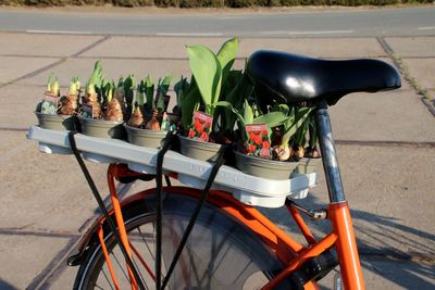 Bicycle on street with tulips