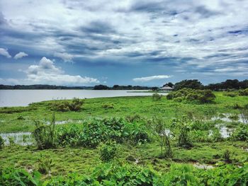 Scenic view of field by lake against sky