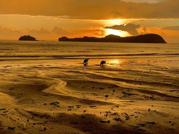 Scenic view of beach against sky during sunset