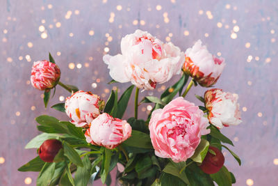 Close-up of pink rose bouquet