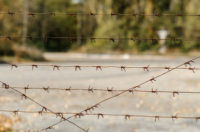 Close-up of barbed wire fence against blurred background