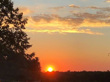 Silhouette trees against sky during sunset