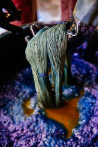 Close-up of turtle swimming in sea