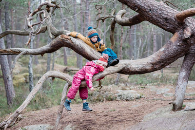 Brother and sister climbing trees together outside in sweden