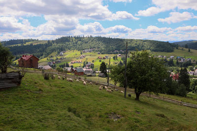 Scenic view of agricultural field against sky