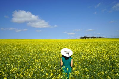Rear view of woman standing amidst flowers against blue sky during sunny day