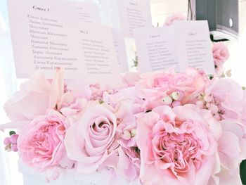 Close-up of pink roses