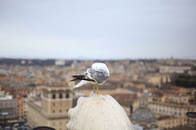 View of cityscape