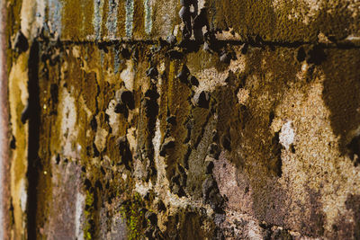 Full frame shot of old weathered wall