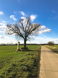 Bare tree on field by road against sky