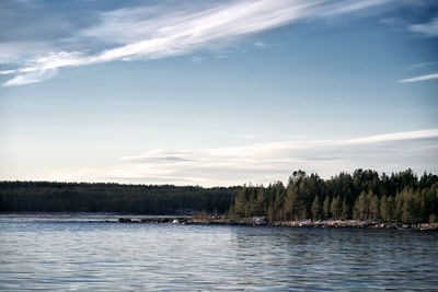 Scenic view of lake in forest against sky