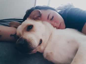 Close-up portrait of young woman sleeping dog at home
