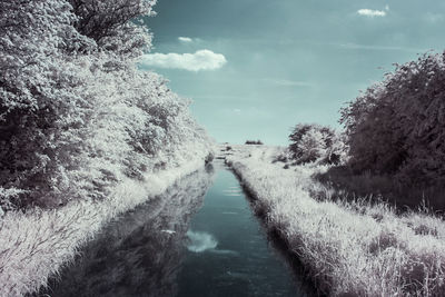 Canal amidst trees against sky