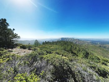 Scenic view of landscape against clear blue sky