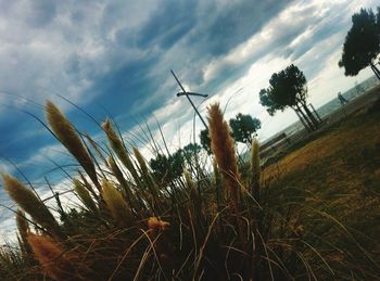 Field against cloudy sky