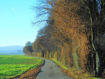 Road amidst trees on field against sky