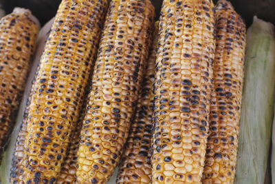 Close-up of corn